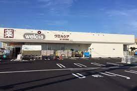 ӊ yhbOXgAzEGVAPYޗǗ֓XF850m