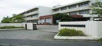 ӊ ywZz؍XÎs򒆊wZF477m