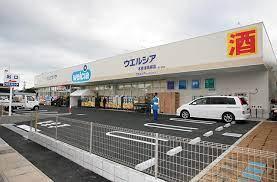 ���ӊ� �y�h���b�O�X�g�A�z�E�G���V�A�؍X�Í����X�F905m