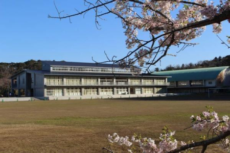 ���ӊ� �y���w�Z�z�x�Îs���V�H���w�Z�F3176m