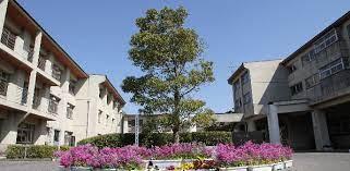 ���ӊ� �y���w�Z�z�N�Îs�������쒆�w�Z�F200m