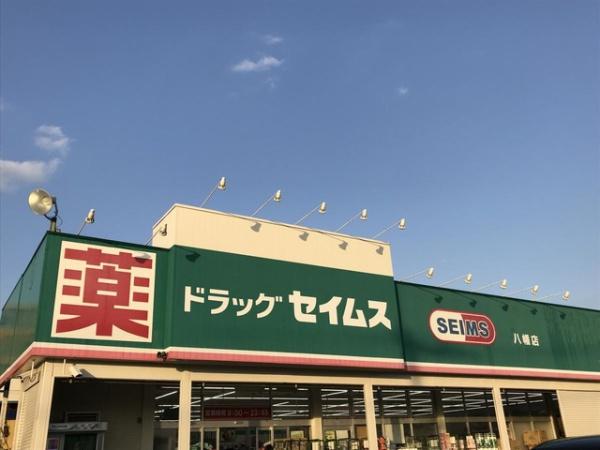 ���ӊ� �y�h���b�O�X�g�A�z�h���b�O�Z�C���X�����X�F1117m