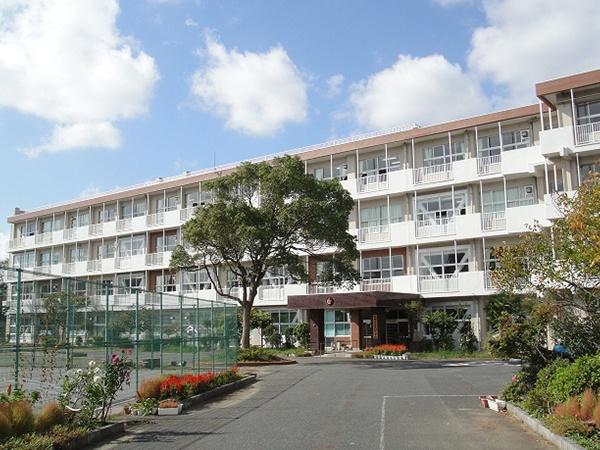 ���ӊ� �y���w�Z�z��t�s���^�����w�Z�F240m