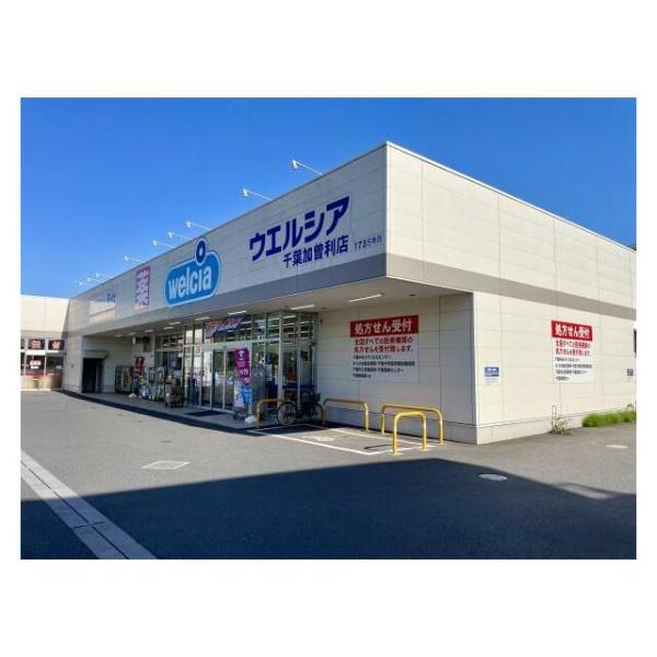 ���ӊ� �y�h���b�O�X�g�A�z�E�G���V�A��t���]���X�F806m