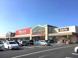 ���ӊ� �y�X�[�p�[�z�x�C�V�A�s�������X�F700m