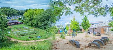 ���ӊ� �y�c�t���E�ۈ牀�z�c�ۘA�g�^�F�肱�ǂ����ӂ��Εۈ牀�F545m