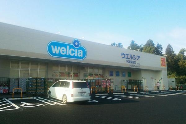 ���ӊ� �y�h���b�O�X�g�A�z�E�G���V�A��t�����X�F850m