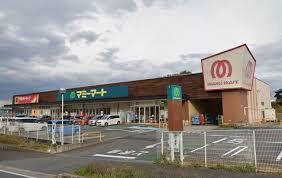 ���ӊ� �y�X�[�p�[�z�}�~�[�}�[�g�_�c�X�F850m