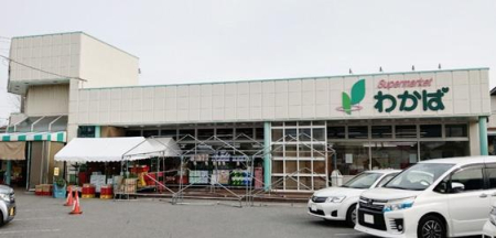 ���ӊ� �y�X�[�p�[�z�X�[�p�[�킩�ΐt��X�F290m