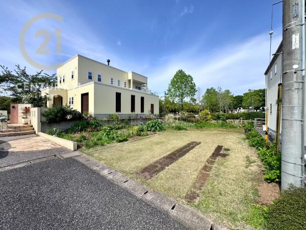 ���n�y�n�ʐ^ -