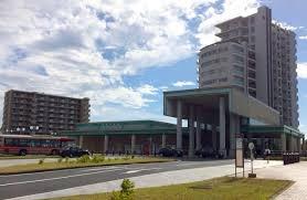 ���ӊ� �y�w�z���͂��w(�����d�S �猴��)�F2640m