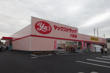 ���ӊ� �y�h���b�O�X�g�A�z���b�N�X�h���b�O�����X�F508m