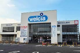 ���ӊ� �y�h���b�O�X�g�A�z�E�G���V�A�s����������X�F434m