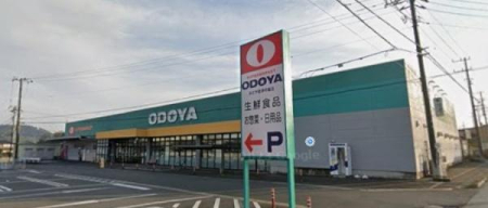 ���ӊ� �y�X�[�p�[�zODOYA�N�Ò����X�F11000m