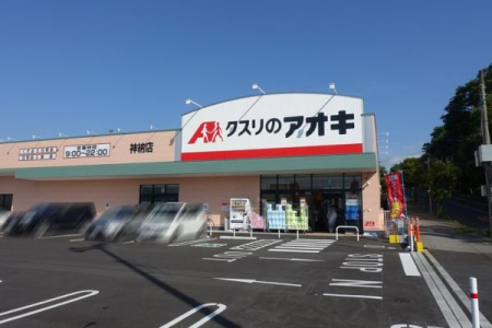 ���ӊ� �y�h���b�O�X�g�A�z�N�X���̃A�I�L�_�[�X�F1060m