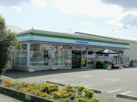 ���ӊ� �y�R���r�j�z�t�@�~���[�}�[�g���厺�X�F259m