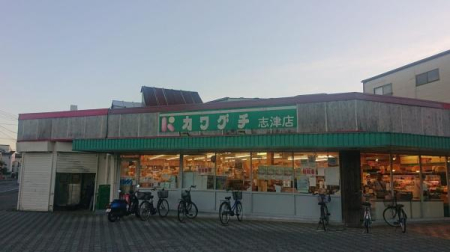 ӊ yX[p[zX[p[`F[JO`uÓXF3483u