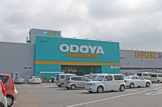 ӊ yX[p[zODOYAَRCݓXF7900m