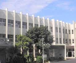 ӊ ywZz؍XÎs䏬wZF1251m