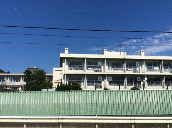 ӊ ywZztsᏼwZF1429m