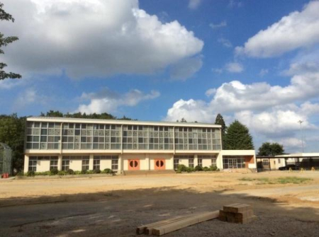 ӊ ywZzlXsIRwZF817m