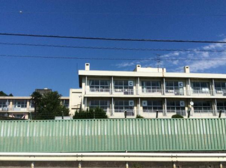 ӊ ywZztsᏼwZF1744m