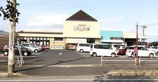 ӊ yX[p[zw̓XYXF1101m