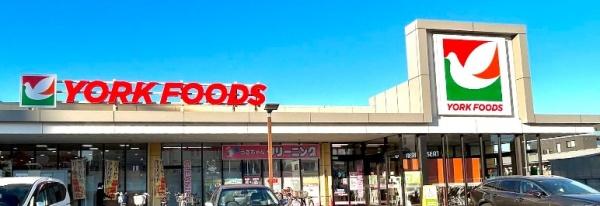 ӊ yX[p[z[Nt[YsXF560m