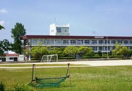 ӊ ywZzPYs쒆wZF3317m