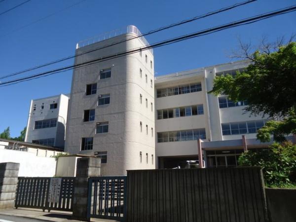 ӊ ywZzԔsԒwZF2394m