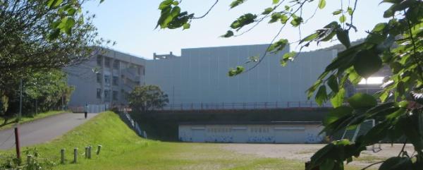 ӊ ywZzNÎswZF1800m