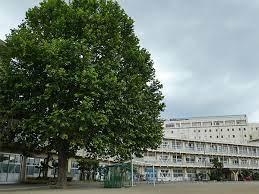 ӊ ywZzts֐XwZF912m