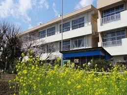 ӊ ywZzts쏬wZF1620m